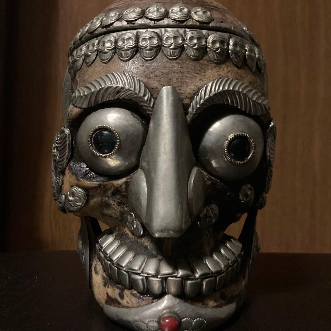 チベタンスカル　頭蓋骨