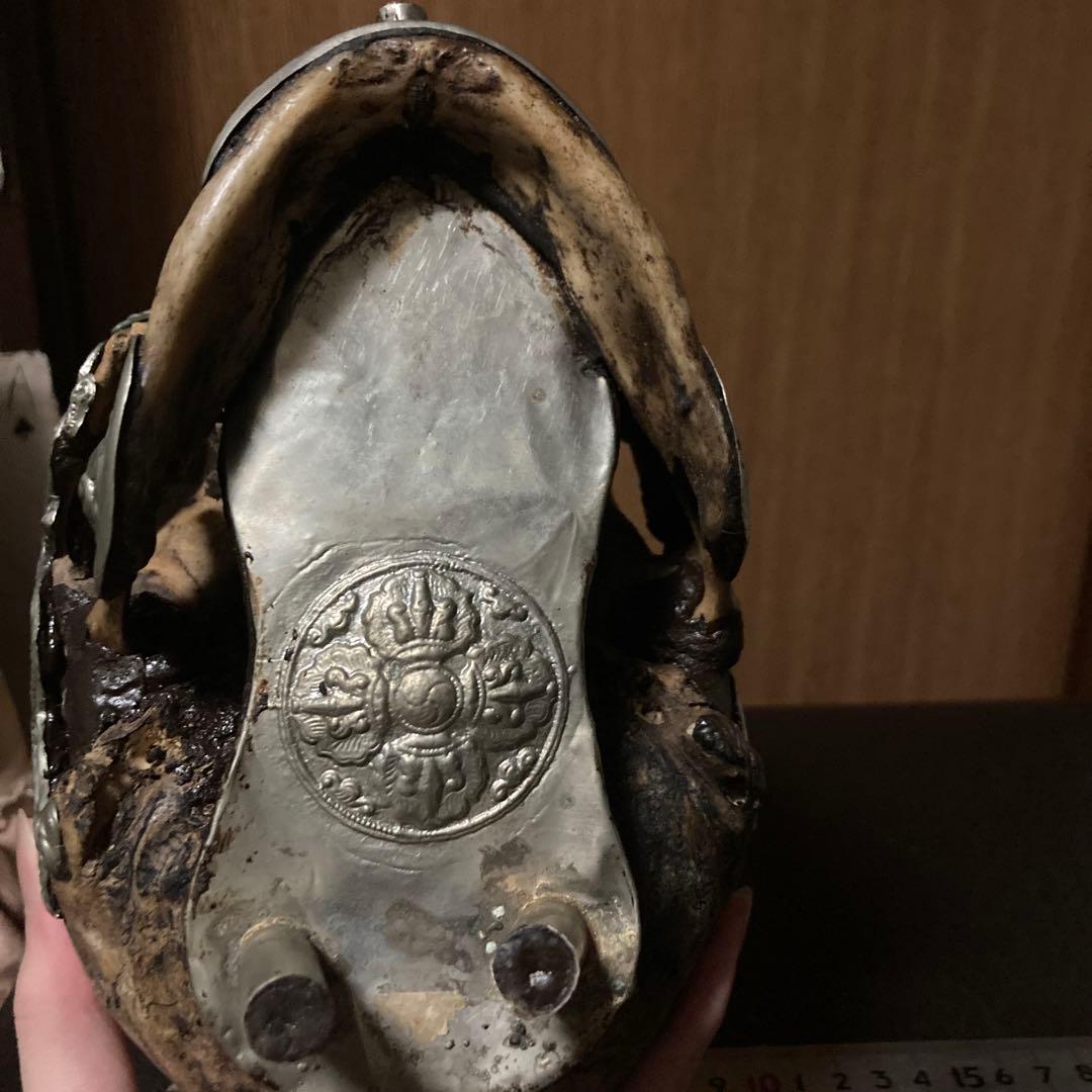 チベタンスカル　頭蓋骨