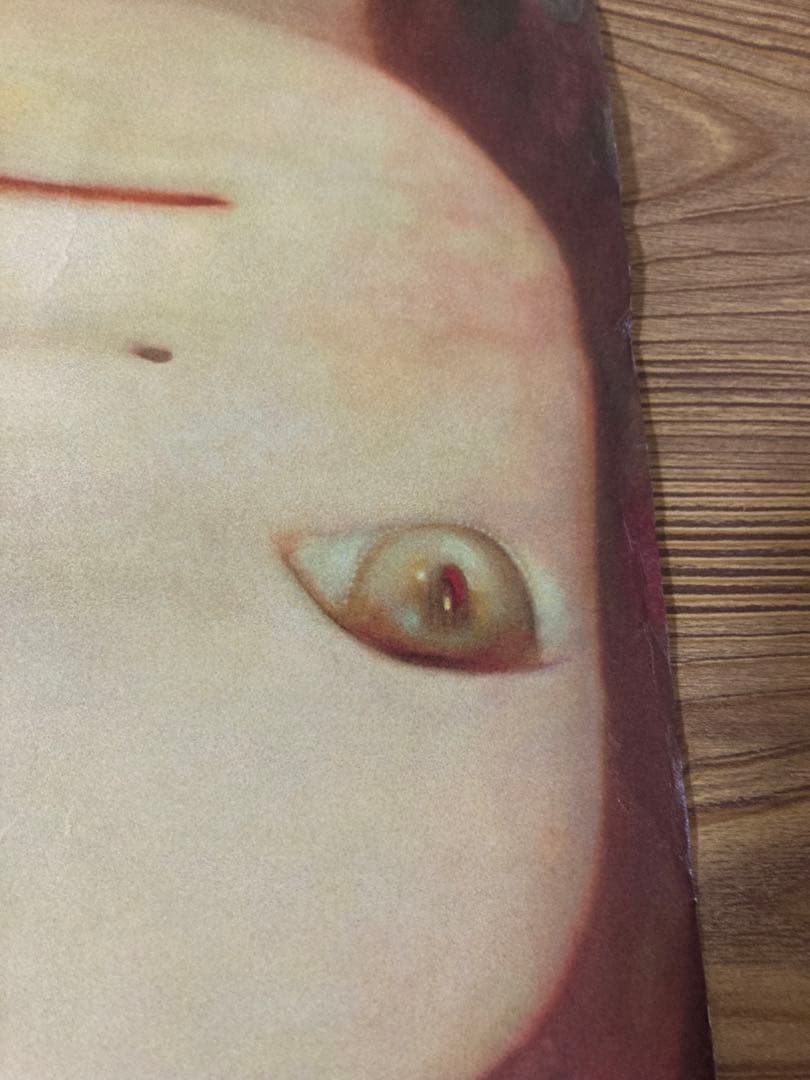 奈良美智 豊田市美術館 for better or worse B2 ポスター - メルカリ