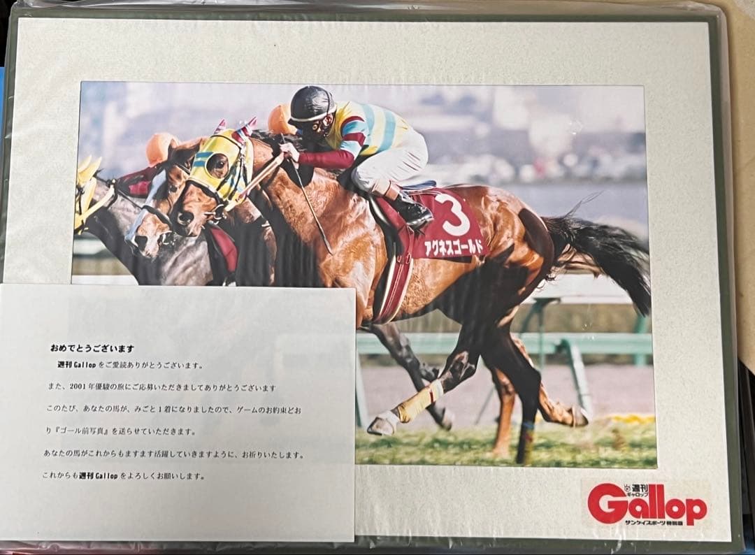 アグネスゴールド 週刊 Gallop 限定パネル