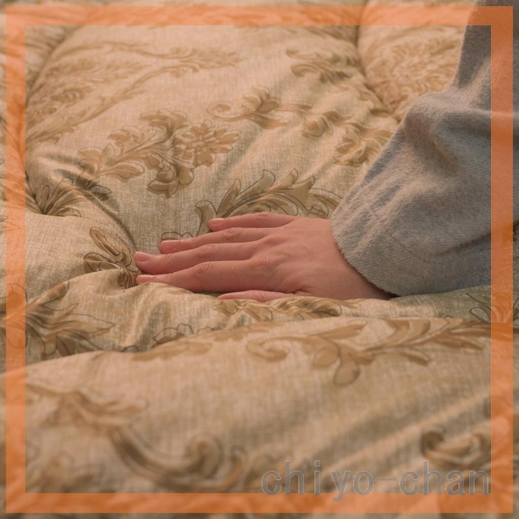 モリリン ほこりが出にくい カーボンホット 掛けふとん＜シングル＞　　ブルー