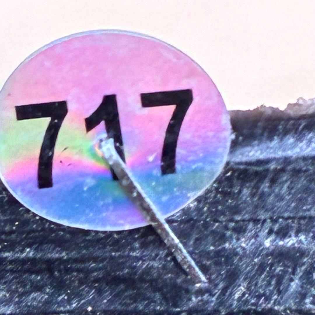 ま*ん様 ❤️根充実❤️沢山新芽❤️717超個性的⭐️花火的お顔と細葉がGood