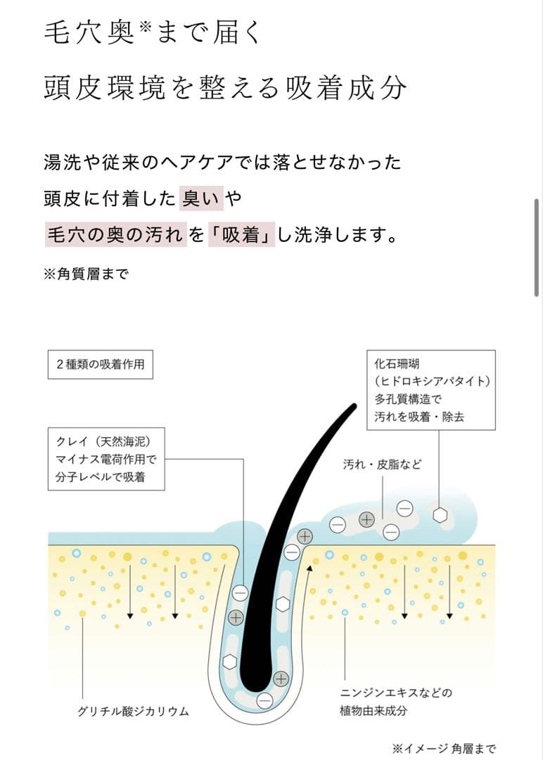 AKNIR シャンプー トリートメント 4点セット
