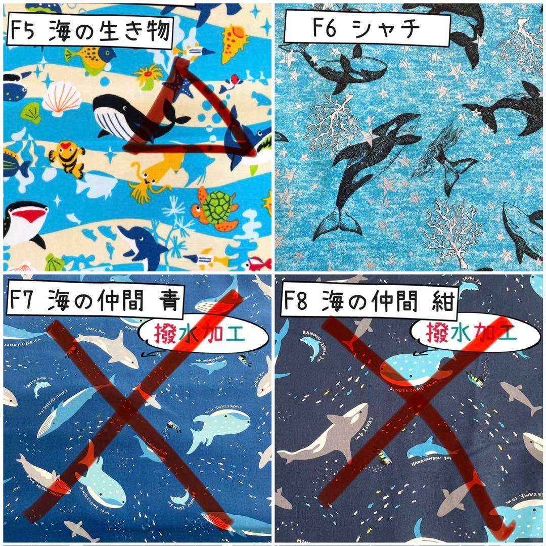 mページ　《魚　海　生き物　オーシャン》