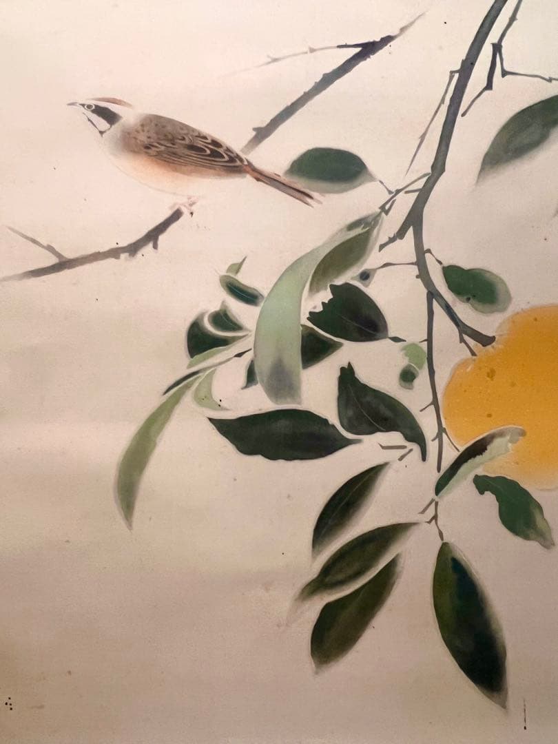 奥村土牛 蜜柑に雀図 印刷工芸品 日本画 掛け軸 掛軸 茶掛 小林古渓