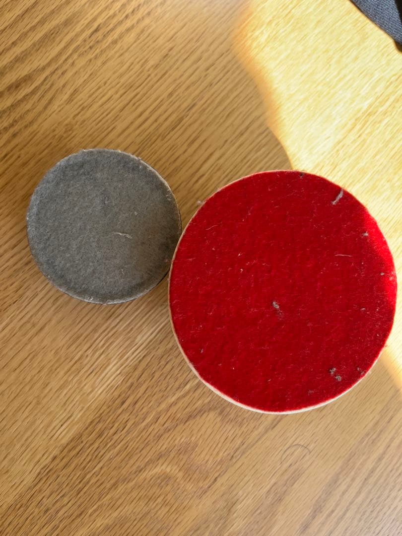 タランチュラとサソリ 樹脂標本 置物