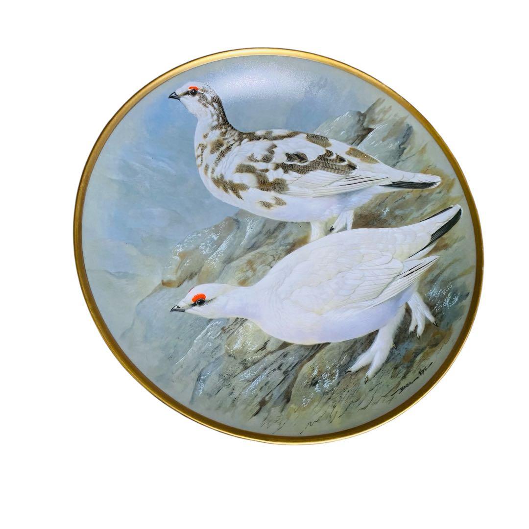 野鳥絵皿　フランス　リモージュ　フランクリンポーセリン　12枚