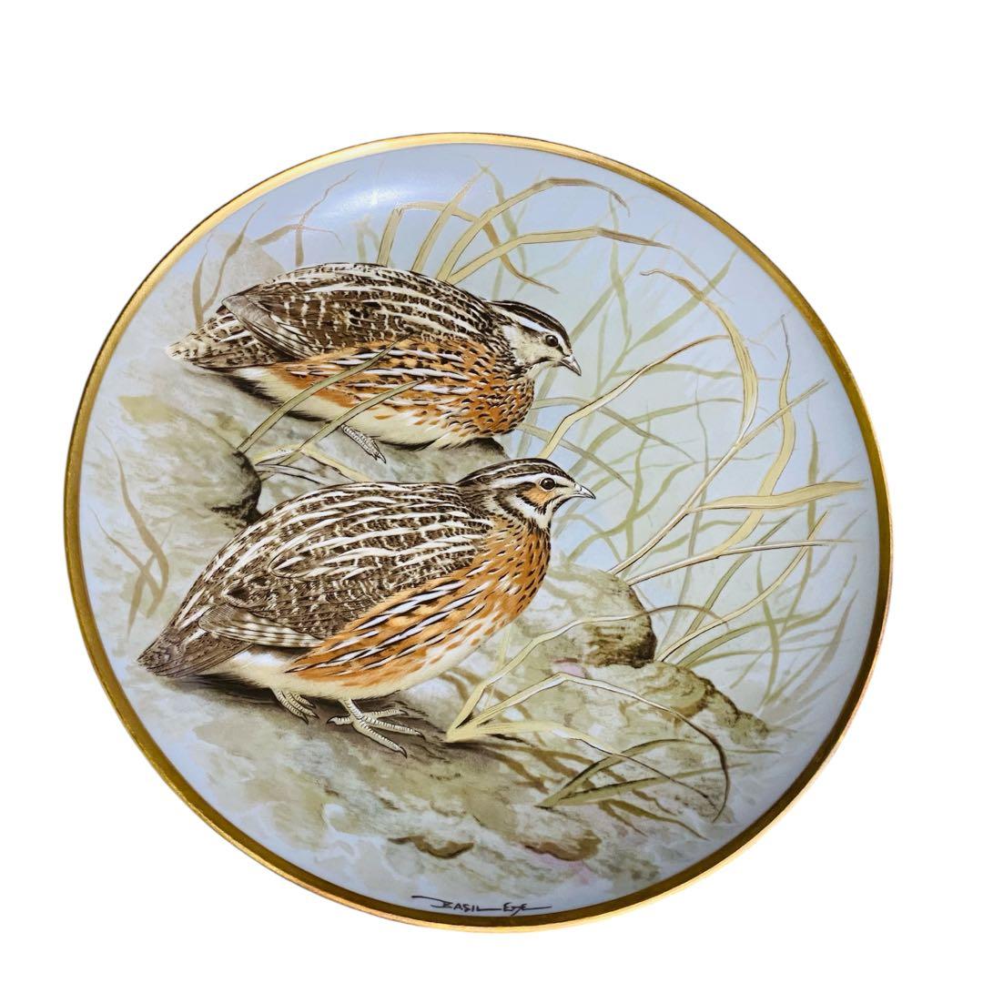 野鳥絵皿　フランス　リモージュ　フランクリンポーセリン　12枚