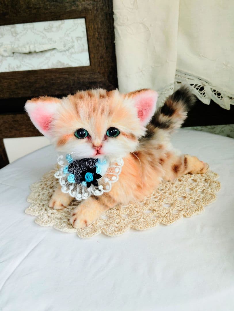 スナネコちゃん❤子猫♥まなあきちゃんご予約♥