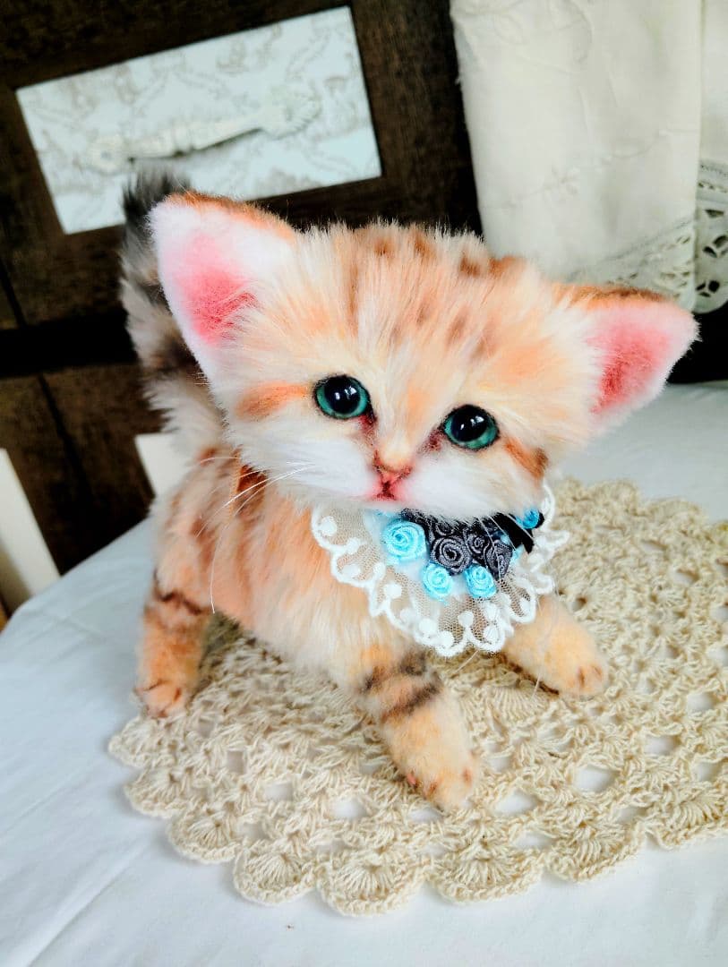 スナネコちゃん❤子猫♥まなあきちゃんご予約♥