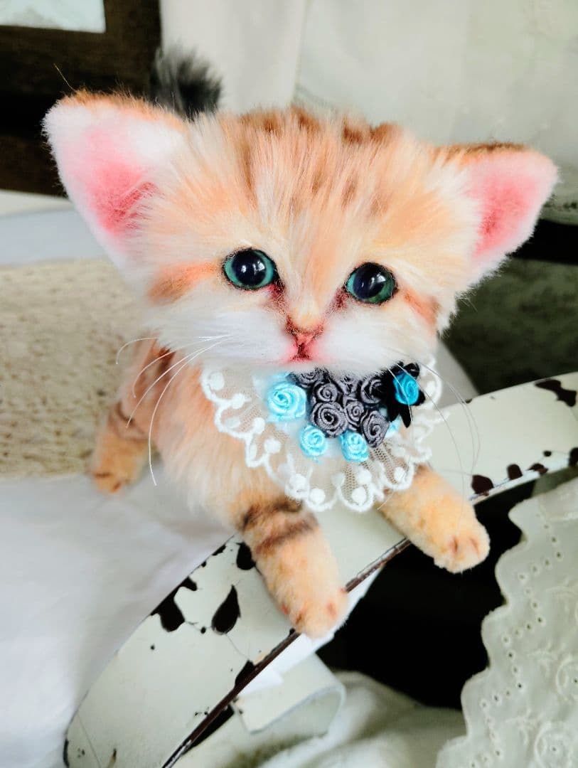 スナネコちゃん❤子猫♥まなあきちゃんご予約♥