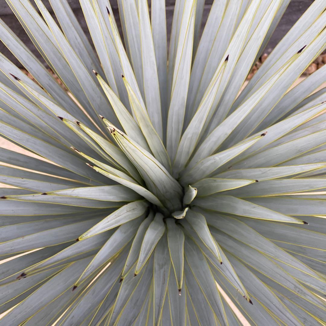 マルデヌベスverロスト　18