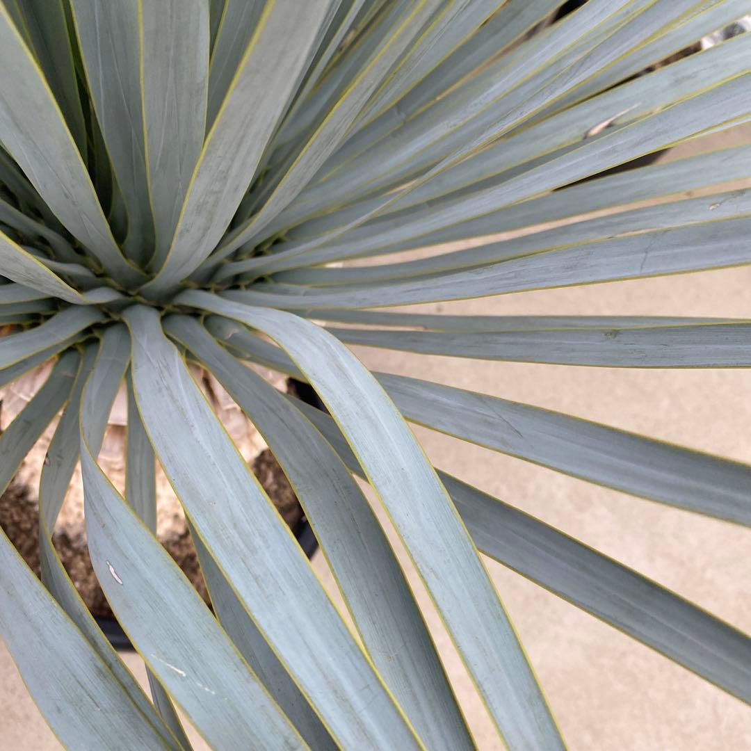 マルデヌベスverロスト　18