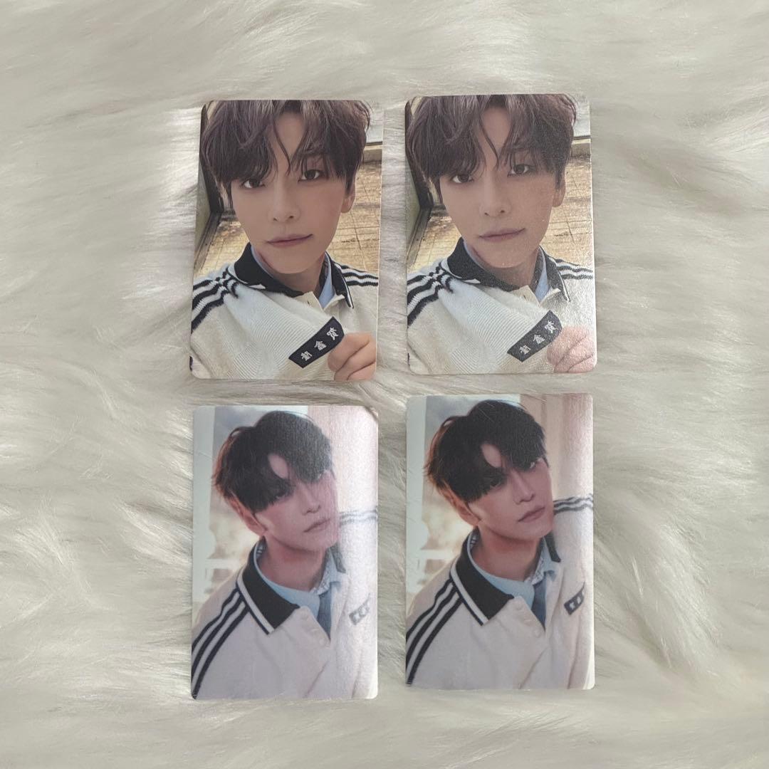 ALD1 シンロン EUPHORIA アルバム 封入 トレカ セット まとめ売り