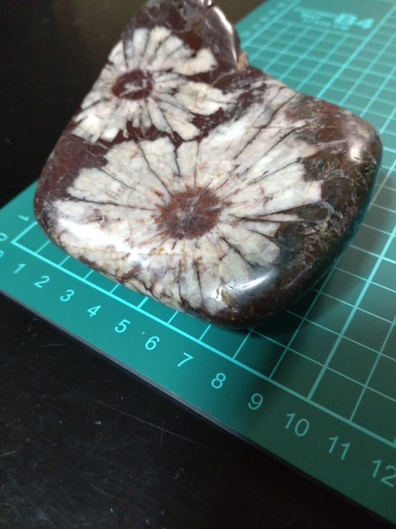 K*0様 菊花石 ピンク花　孔雀部分　根尾 鑑賞石 水石 自然石　木製・花梨の台