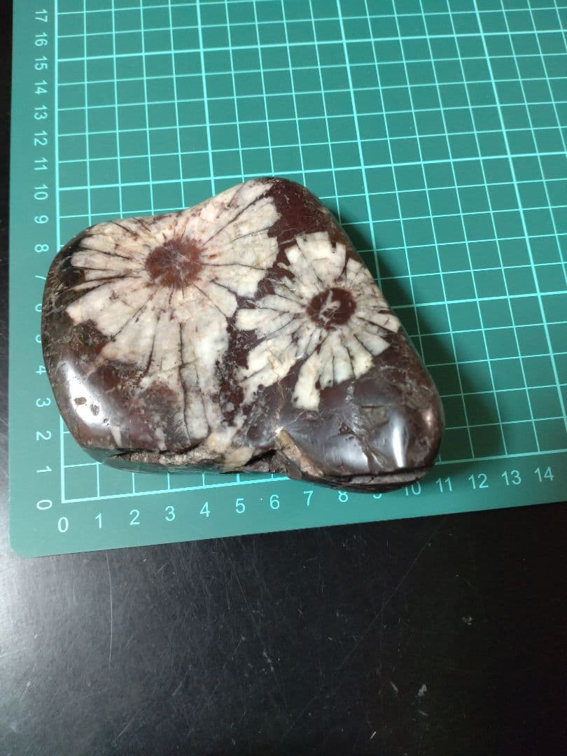 K*0様 菊花石 ピンク花　孔雀部分　根尾 鑑賞石 水石 自然石　木製・花梨の台