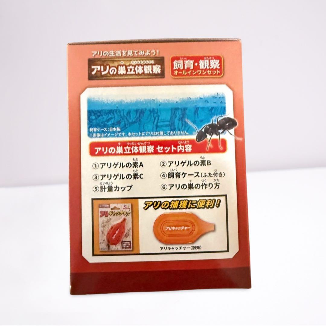アリの巣立体観察キット｜自由研究・飼育観察に最適！透明ジェルで巣