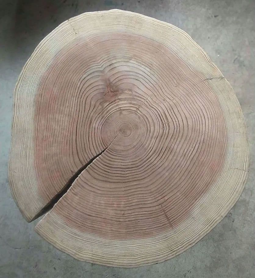 京都産 天然杉 アイアン　サイド　 テーブル 輪切り 丸太