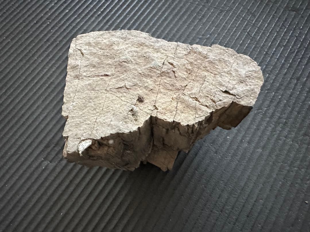 珪化木　化石置物 鑑賞石　茶室