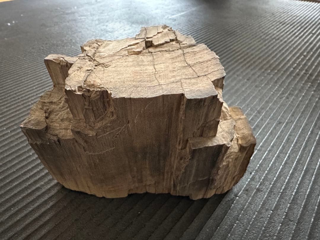 珪化木　化石置物 鑑賞石　茶室