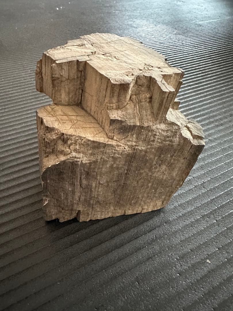 珪化木　化石置物 鑑賞石　茶室