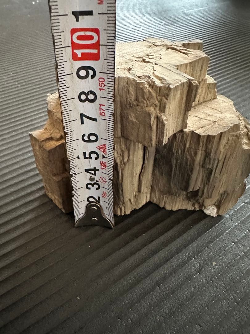 珪化木　化石置物 鑑賞石　茶室