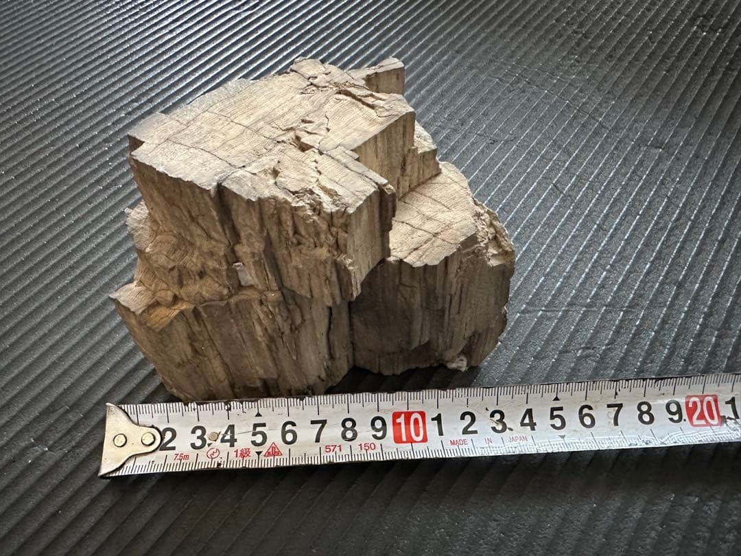 珪化木　化石置物 鑑賞石　茶室