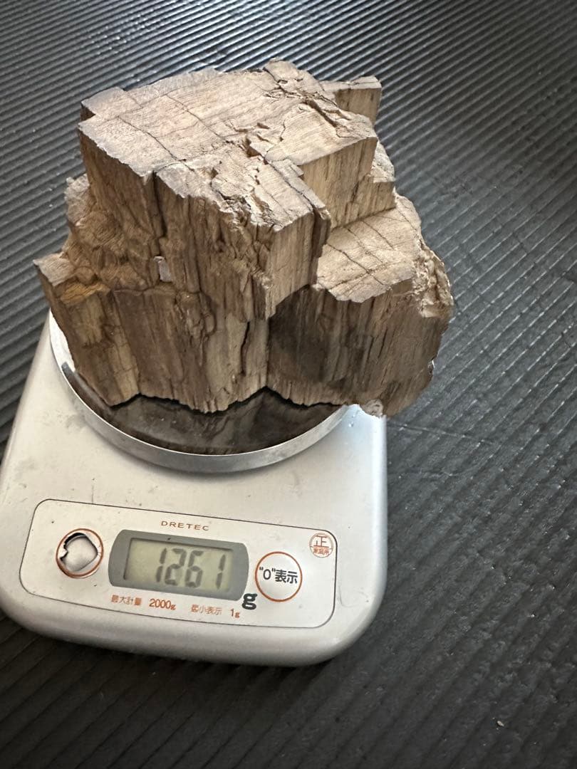 珪化木　化石置物 鑑賞石　茶室