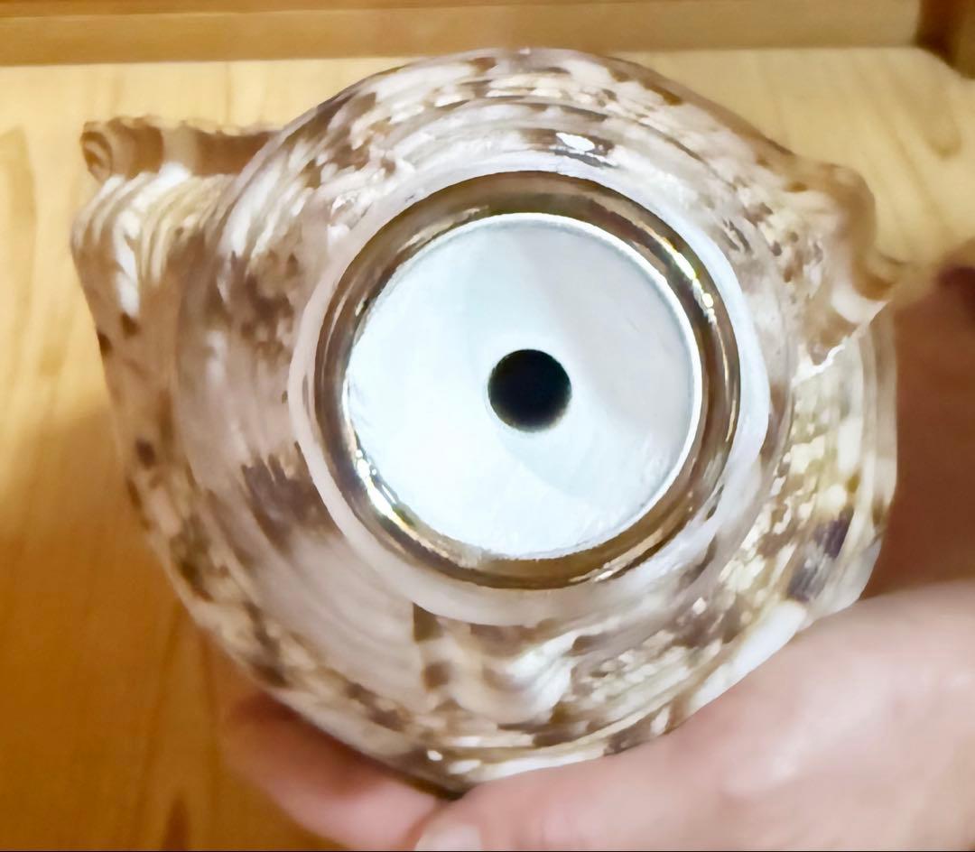 修験道法螺貝36㎝　山伏　密教　熊よけ　魔除け❣️ホラガイ　ほら貝