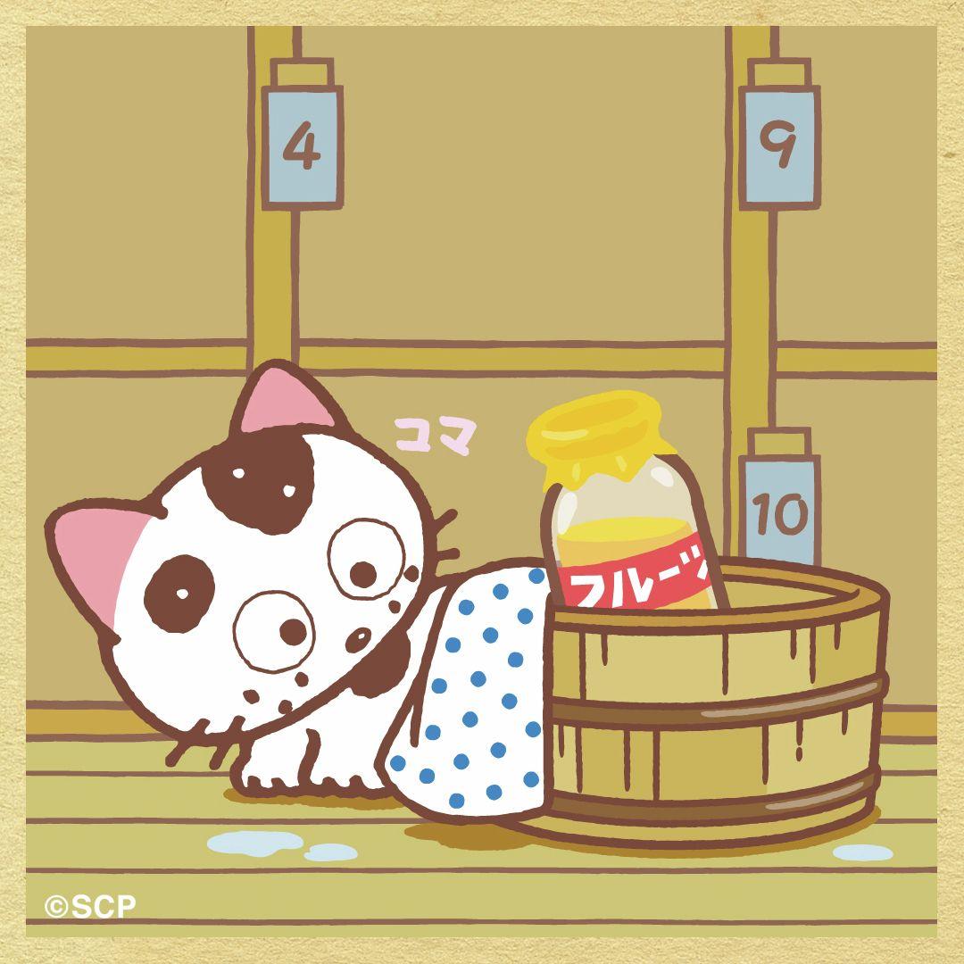 うちのタマしりませんか　正方形6