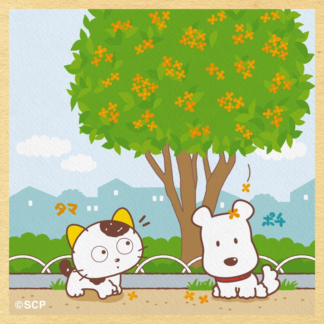 うちのタマしりませんか　正方形6