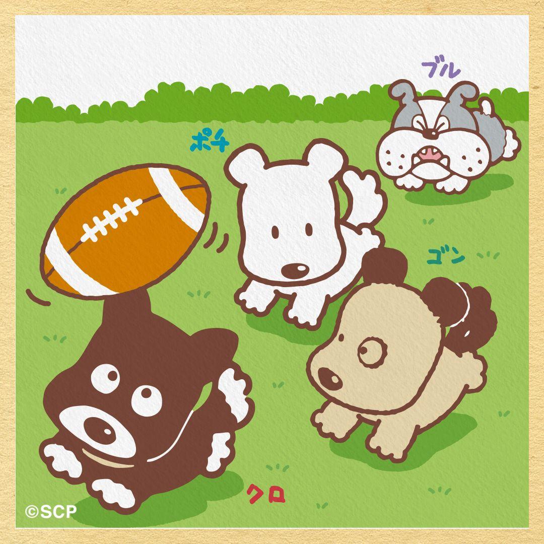 うちのタマしりませんか　正方形6