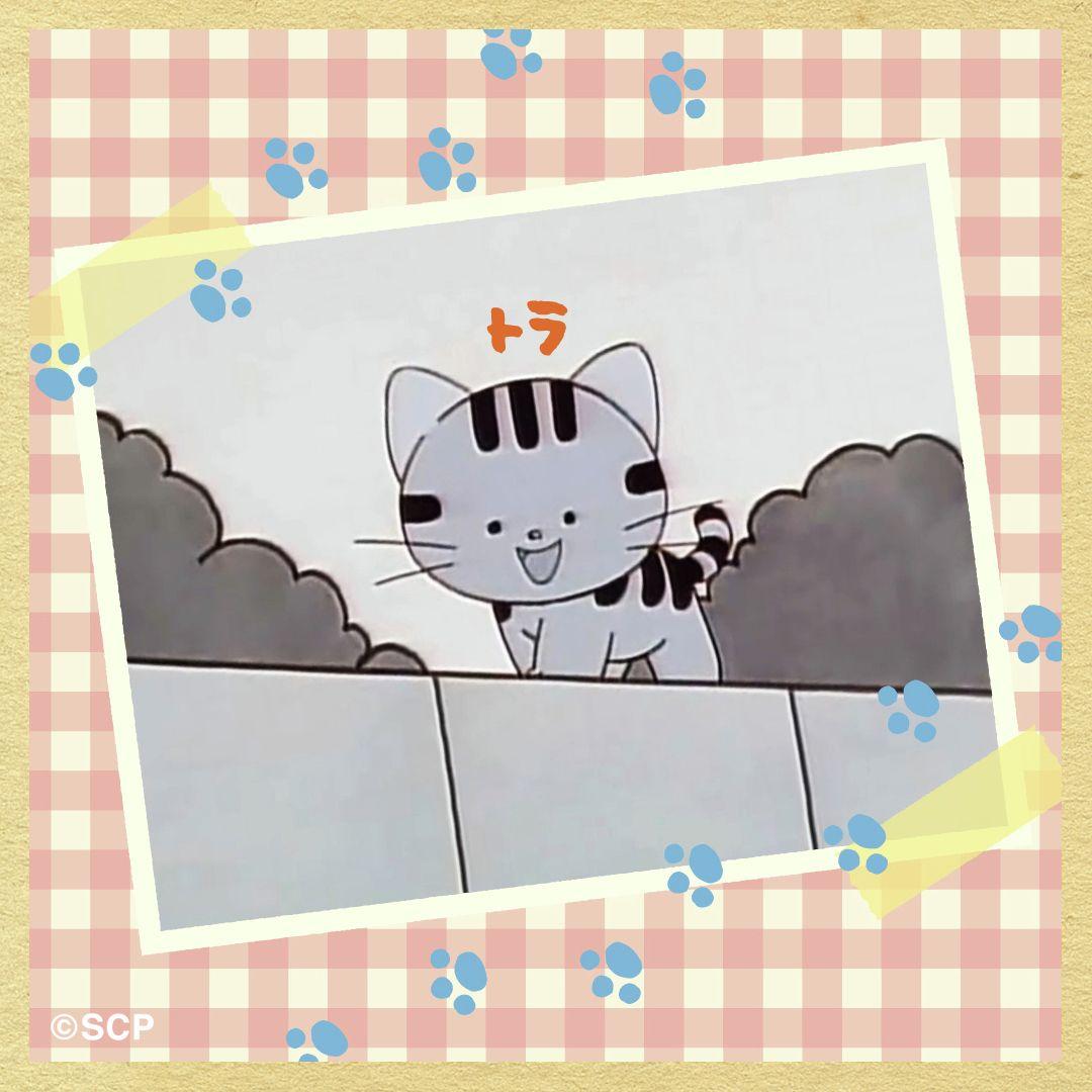 うちのタマしりませんか　正方形6