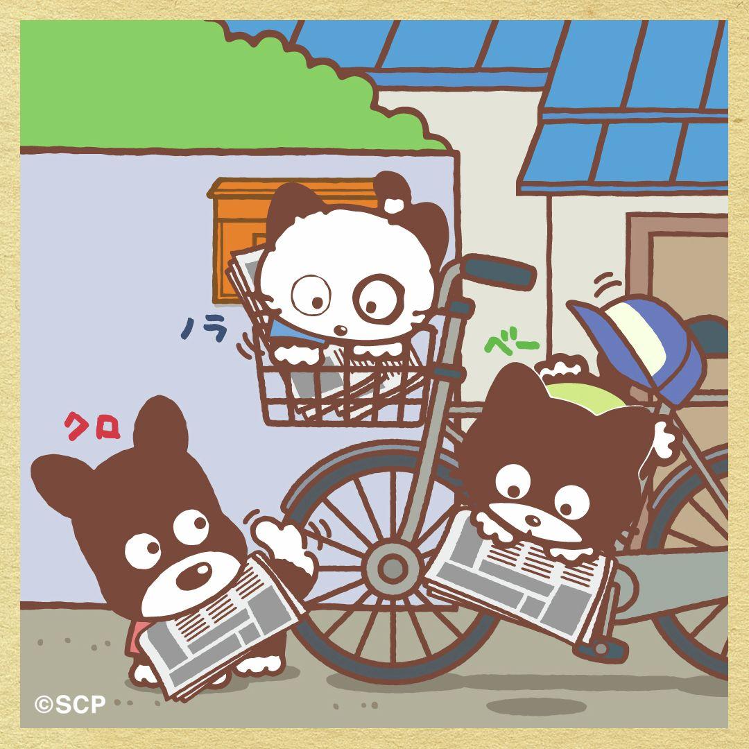 うちのタマしりませんか　正方形6