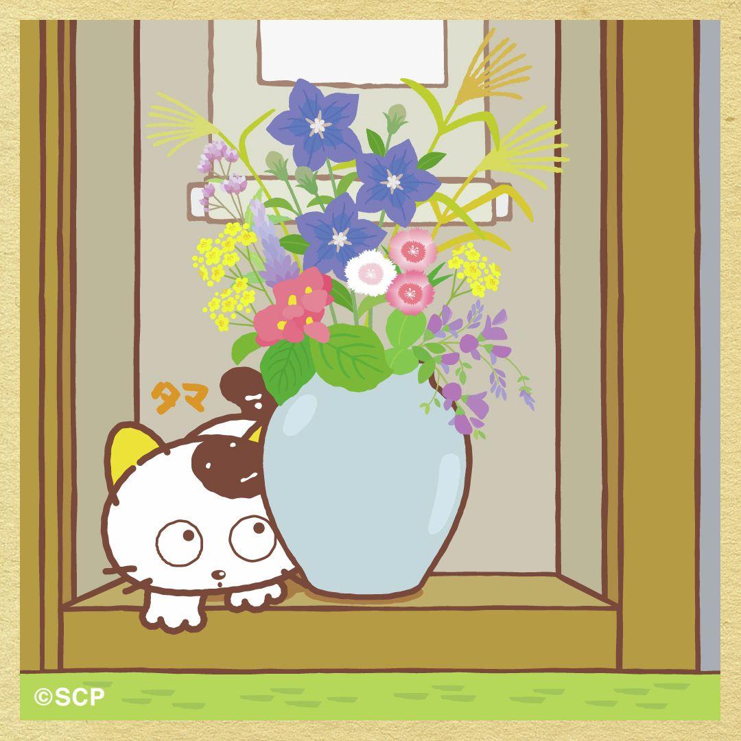 うちのタマしりませんか　正方形6