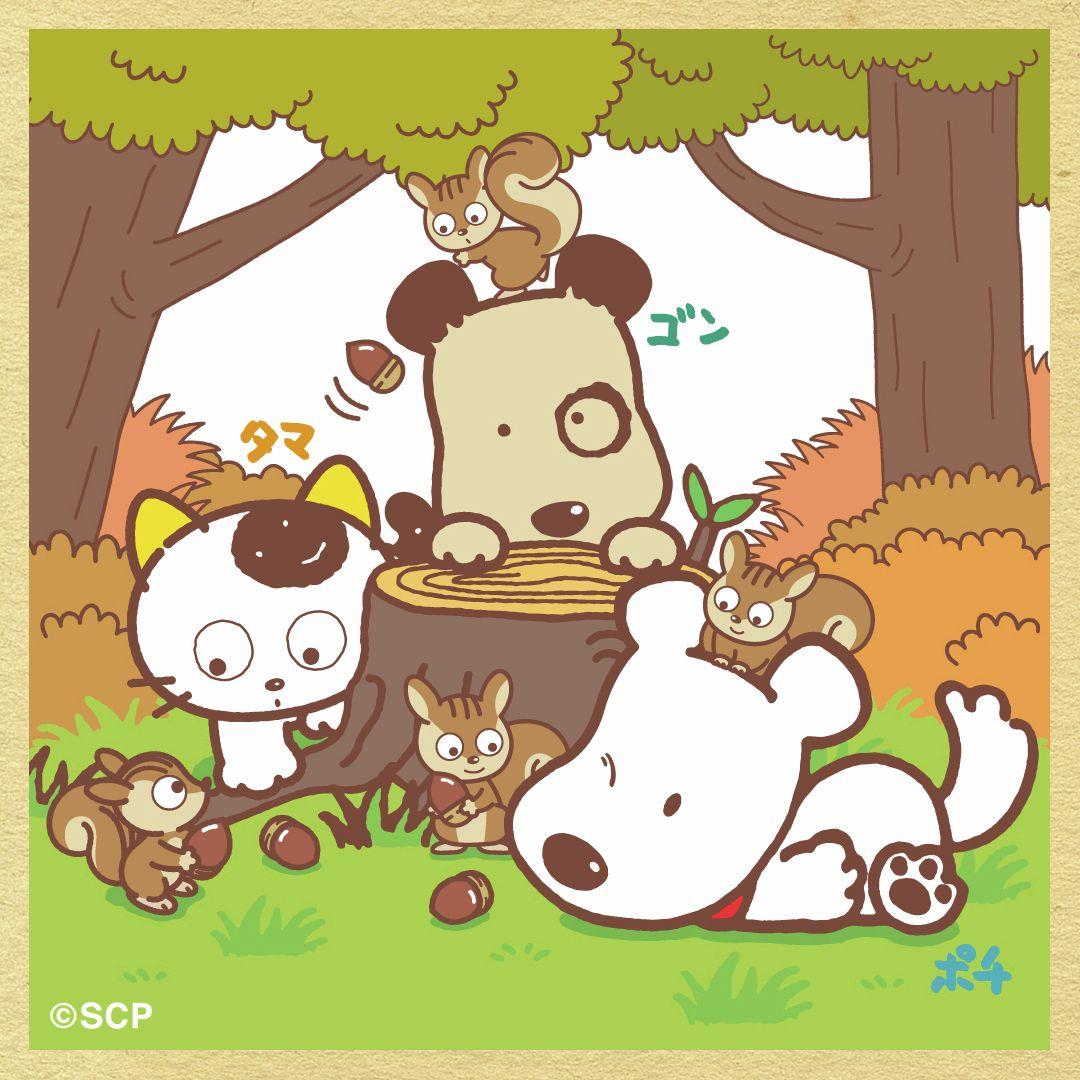 うちのタマしりませんか　正方形6