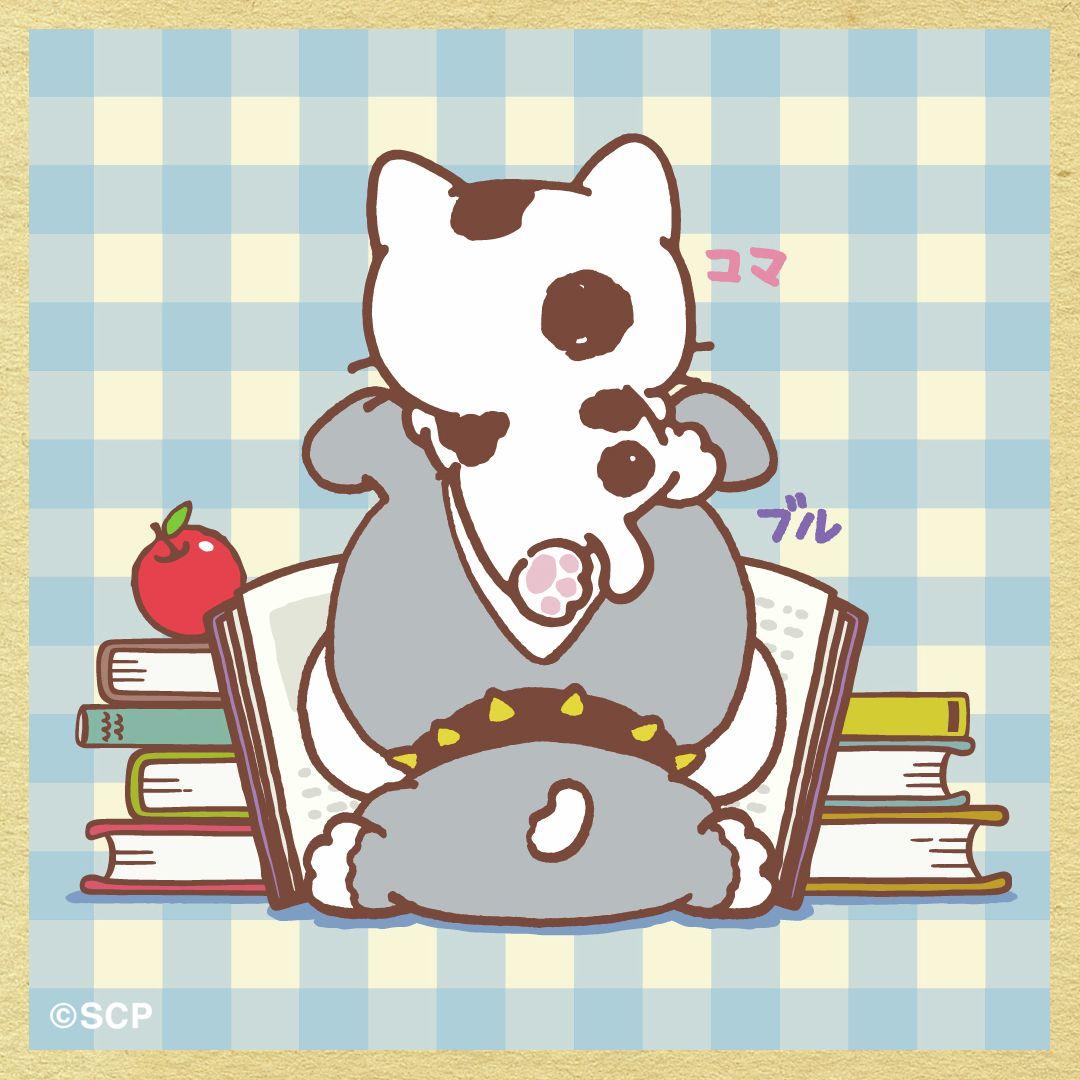 うちのタマしりませんか　正方形6