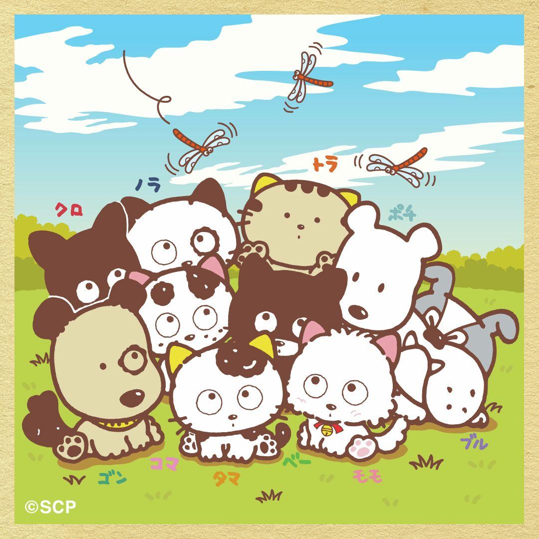 うちのタマしりませんか　正方形6