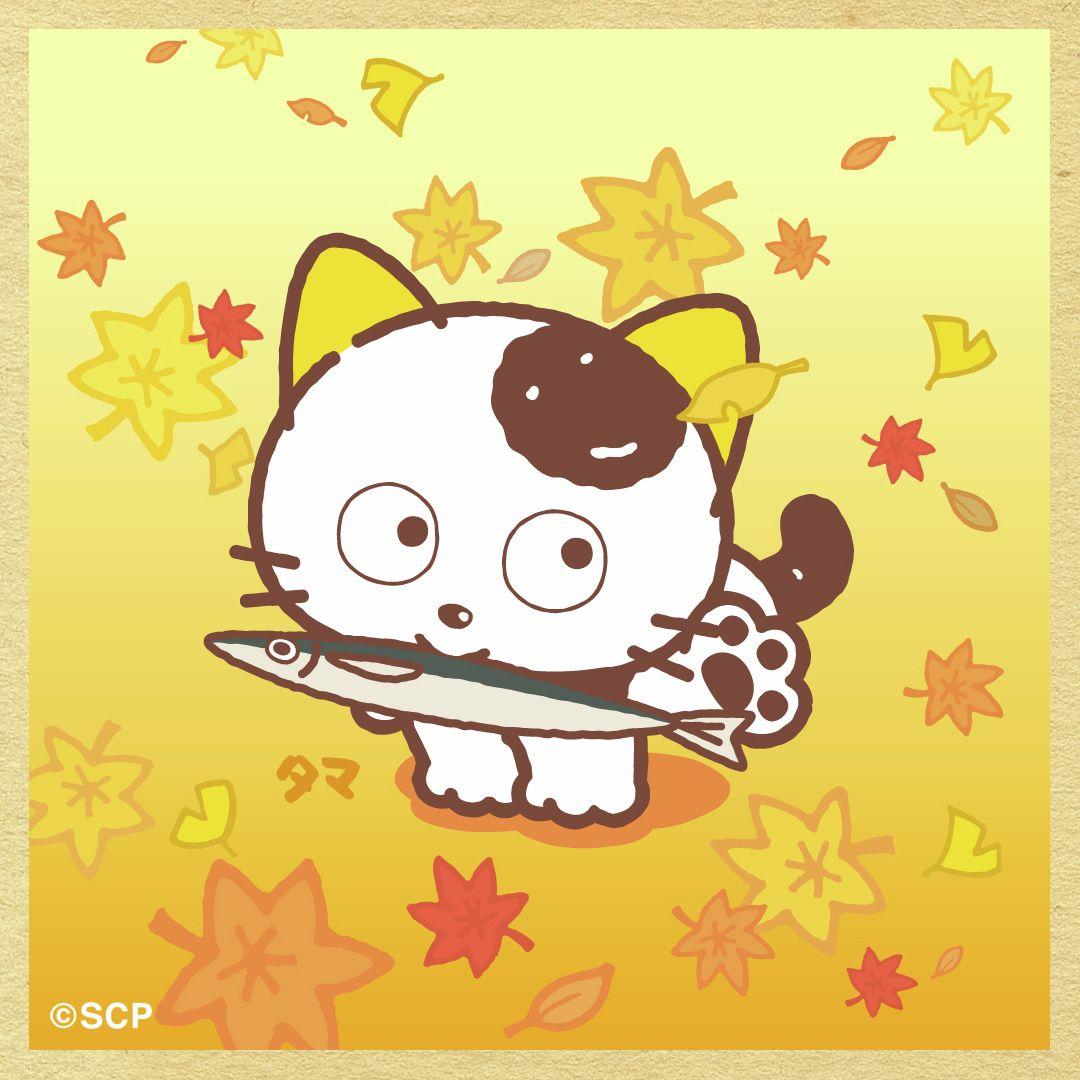 うちのタマしりませんか　正方形6