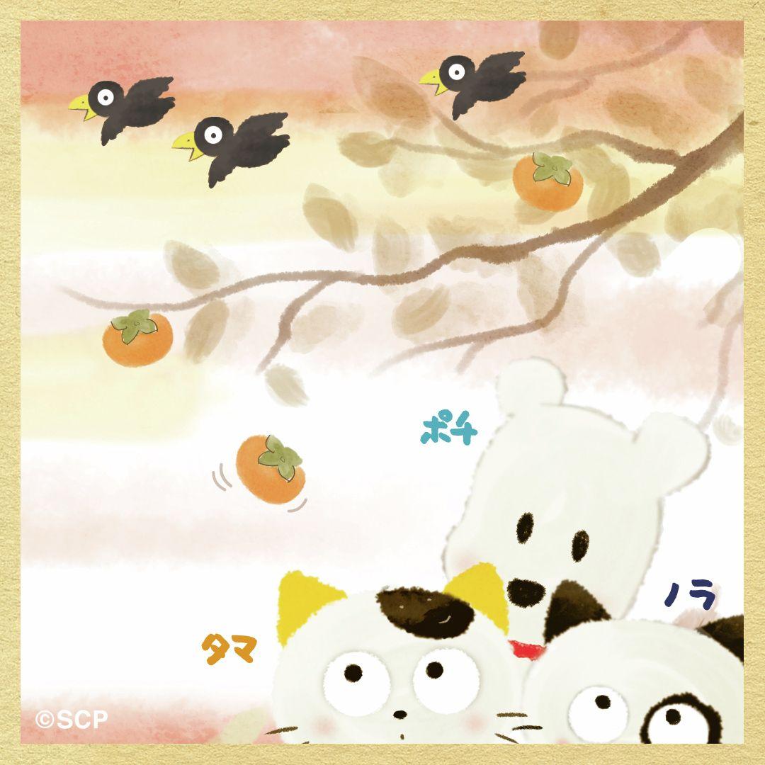 うちのタマしりませんか　正方形6