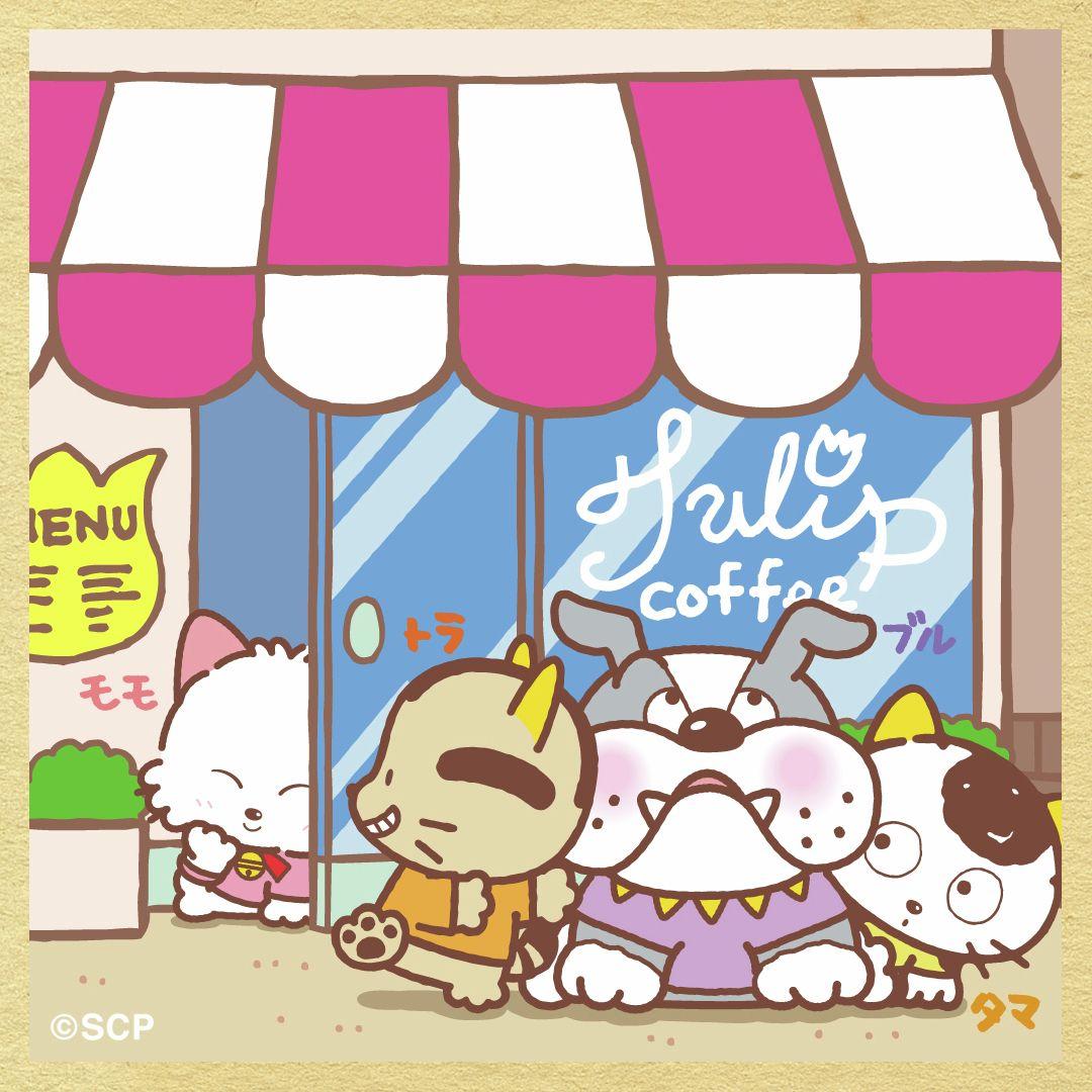 うちのタマしりませんか　正方形6