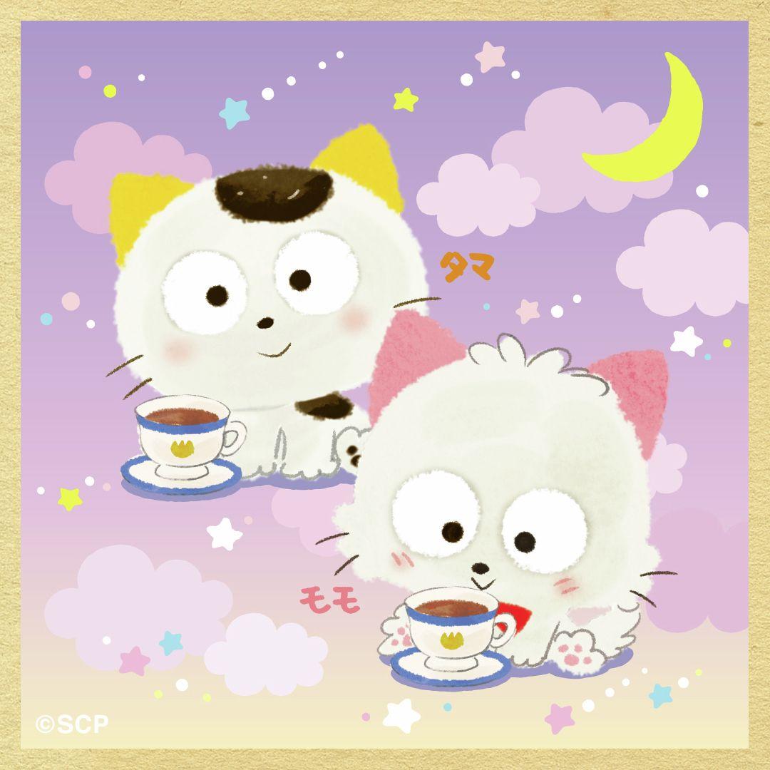 うちのタマしりませんか　正方形6