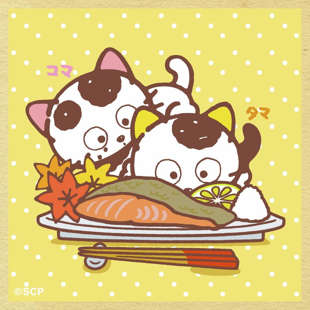 うちのタマしりませんか　正方形6