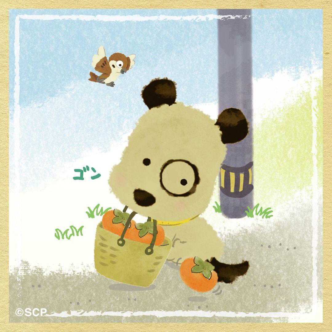 うちのタマしりませんか　正方形6