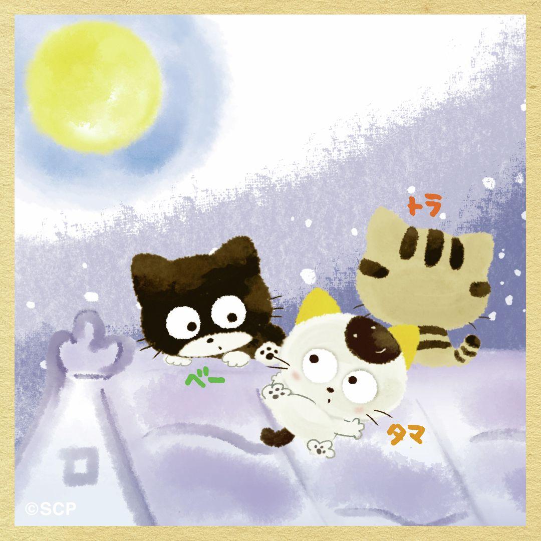 うちのタマしりませんか　正方形6