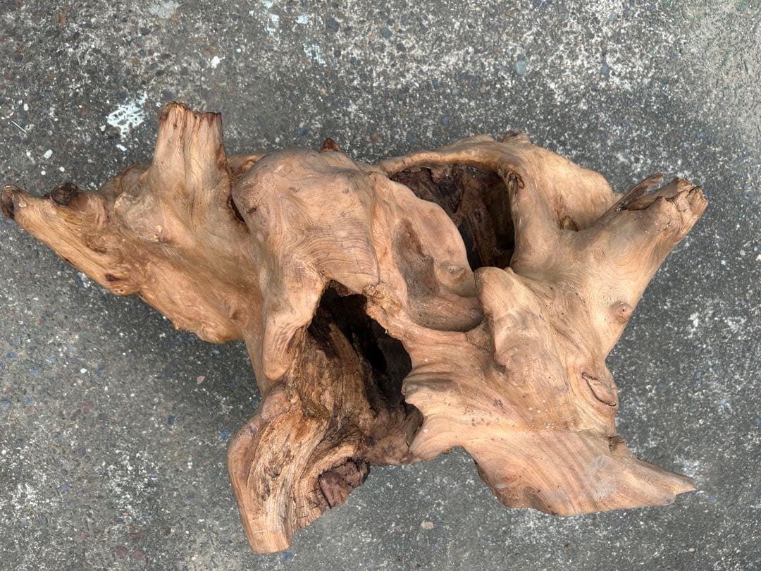 欅 オブジェ インテリア