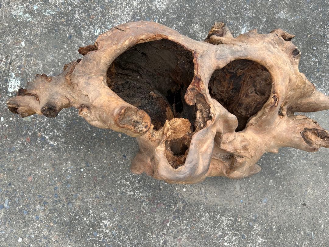 欅 オブジェ インテリア