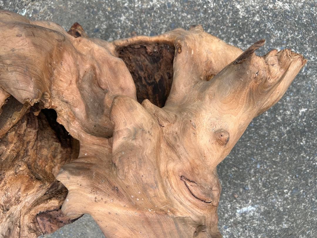 欅 オブジェ インテリア