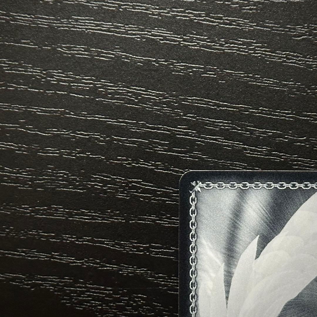 WS 母の墓前にて OFR