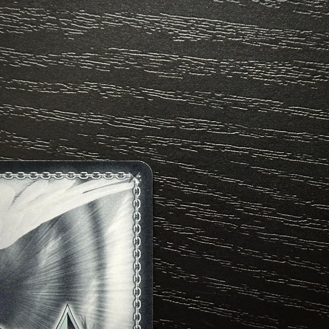 WS 母の墓前にて OFR